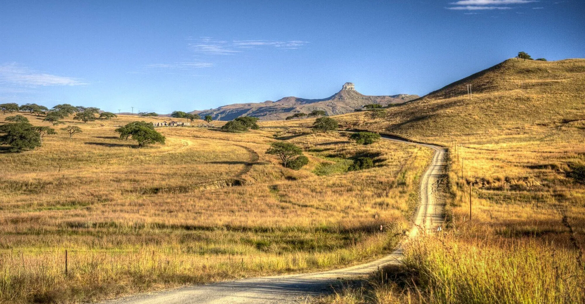Dirt road leading through the Kwaggashoek landscape